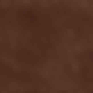 Suede Belt in Dark Brown