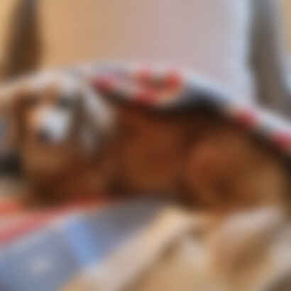 AIR MAIL x Chatham Cashmere-Blend Blanket