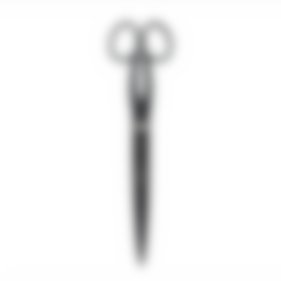 AIR MAIL x Whiteley Scissors